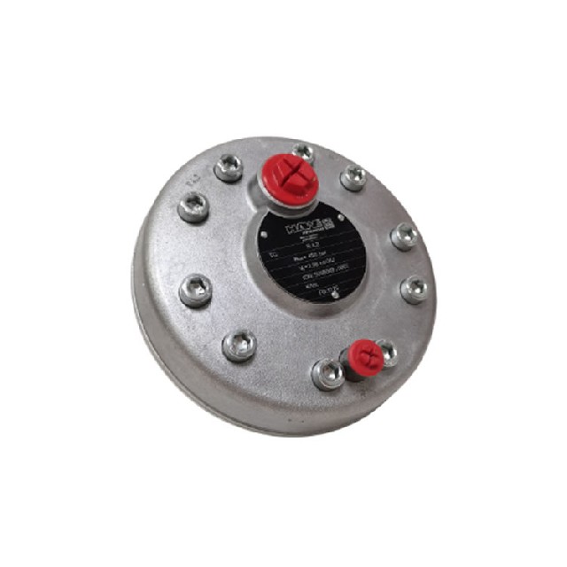 德國(guó)HAWE R4,2 徑向柱塞泵 液壓泵